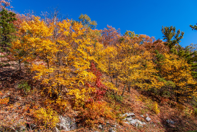 39 Shenandoah National Park :: Shenandoah National Park